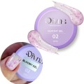 DIVNA ŻEL DO ZDOBIEŃ BLOOMY GEL 02 15G