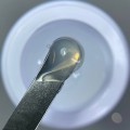 DIVNA  3D GUM GEL CLEAR 5g ŻEL DO ZDOBIEŃ
